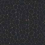 Jon Renau Onyx Trails